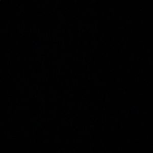 Meet your Posher, Raven